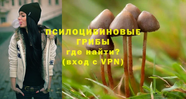 шишки Алексин