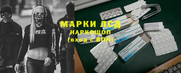 шишки Алексин