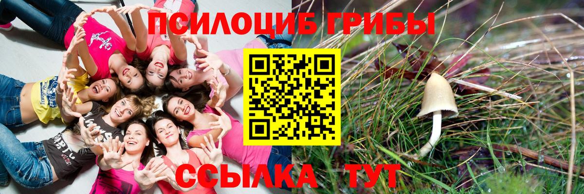 Галлюциногенные грибы Psilocybe  Вход с VPN  Коряжма 